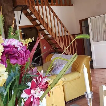 La Huerta Con Piscina Chimenea Y Wifi * Conil De La Frontera