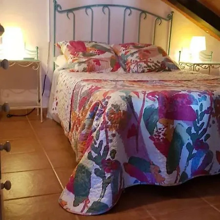La Huerta Con Piscina Y Wifi No Grupos Conil De La Frontera